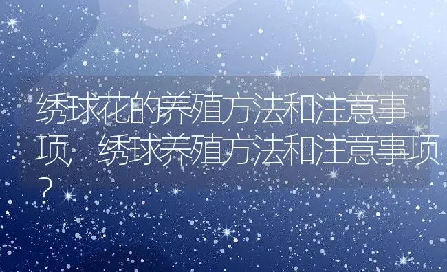 绣球花的养殖方法和注意事项,绣球养殖方法和注意事项？ | 养殖学堂