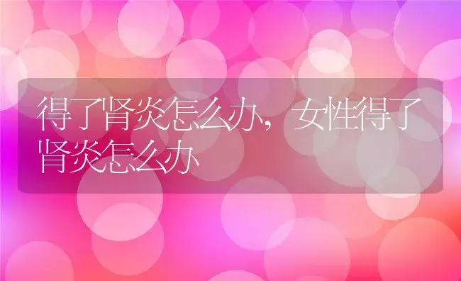 得了肾炎怎么办,女性得了肾炎怎么办 | 养殖资料