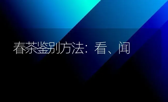 春茶鉴别方法：看、闻 | 养殖知识