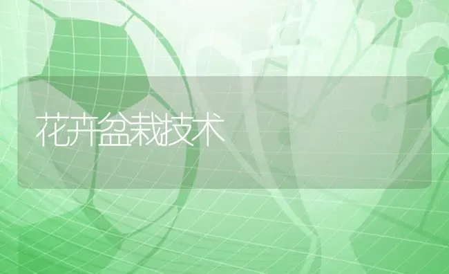 花卉盆栽技术 | 养殖知识