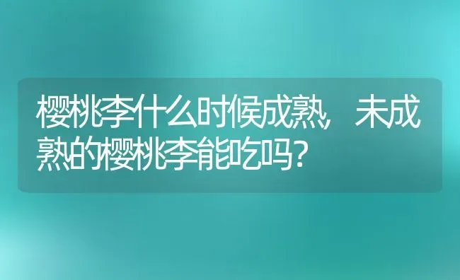 樱桃李什么时候成熟,未成熟的樱桃李能吃吗？ | 养殖科普