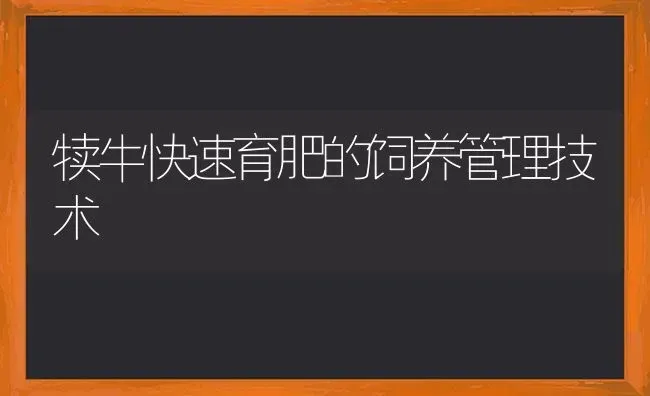 犊牛快速育肥的饲养管理技术 | 养殖知识