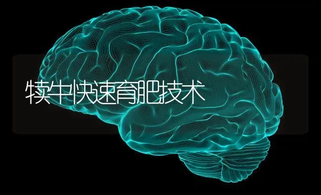 犊牛快速育肥技术 | 养殖知识