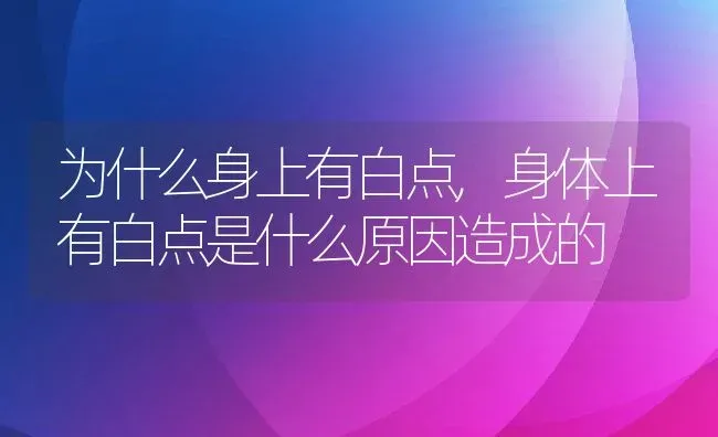 为什么身上有白点,身体上有白点是什么原因造成的 | 养殖学堂