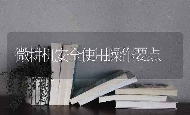 微耕机安全使用操作要点 | 养殖技术大全