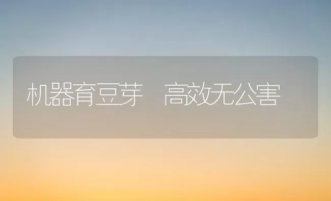 机器育豆芽 高效无公害 | 养殖技术大全