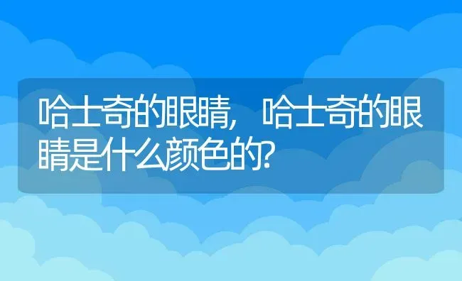 哈士奇的眼睛,哈士奇的眼睛是什么颜色的? | 养殖资料