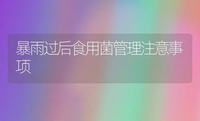 暴雨过后食用菌管理注意事项 | 养殖技术大全