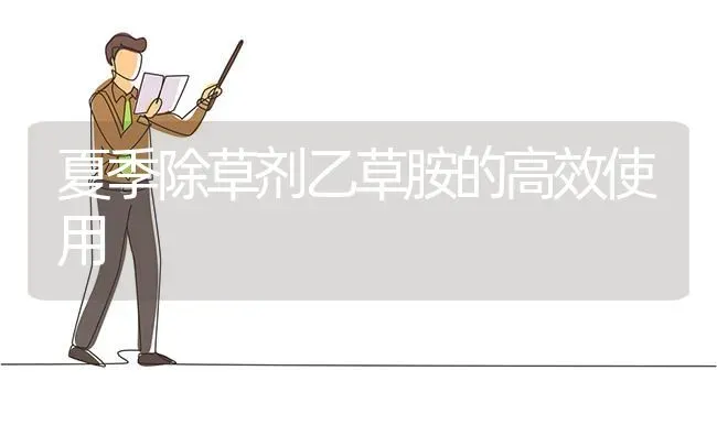 夏季除草剂乙草胺的高效使用 | 养殖知识