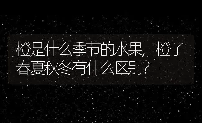 橙是什么季节的水果,橙子春夏秋冬有什么区别？ | 养殖科普