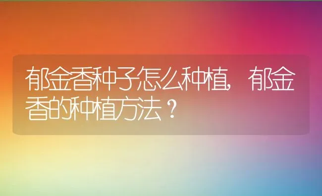 郁金香种子怎么种植,郁金香的种植方法？ | 养殖科普