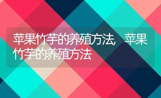 苹果竹芋的养殖方法,苹果竹芋的养殖方法 | 养殖科普