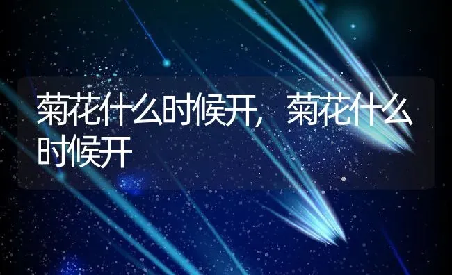 满天星花语是什么,满天星花语是什么 | 养殖科普