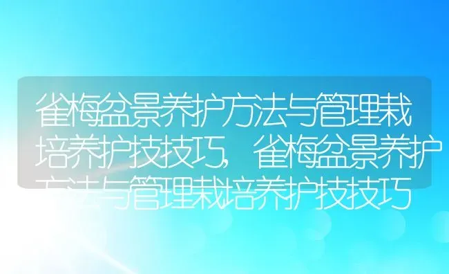 雀梅盆景养护方法与管理栽培养护技技巧,雀梅盆景养护方法与管理栽培养护技技巧 | 养殖学堂