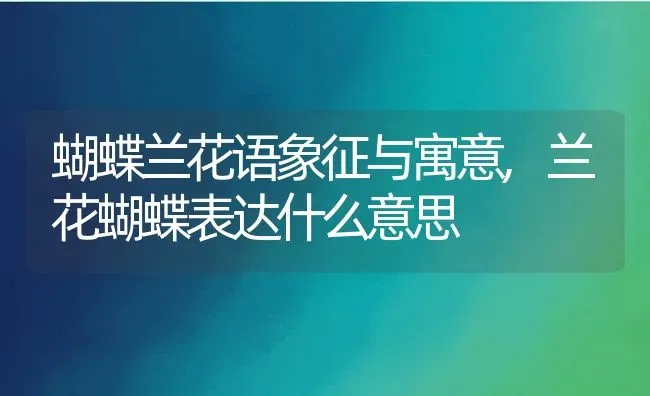 蝴蝶兰花语象征与寓意,兰花蝴蝶表达什么意思 | 养殖学堂