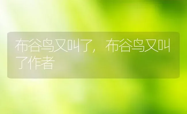 布谷鸟又叫了,布谷鸟又叫了作者 | 养殖资料