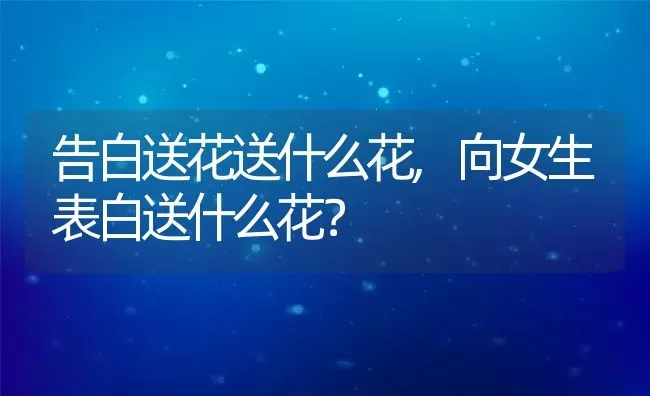 告白送花送什么花,向女生表白送什么花？ | 养殖科普