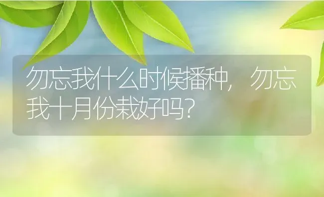 勿忘我什么时候播种,勿忘我十月份栽好吗？ | 养殖科普