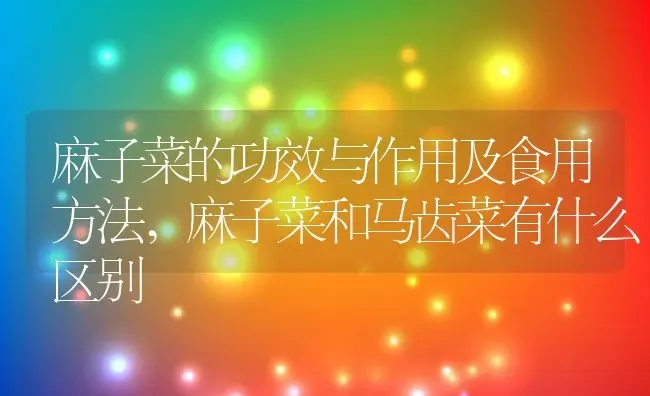 麻子菜的功效与作用及食用方法,麻子菜和马齿菜有什么区别 | 养殖学堂
