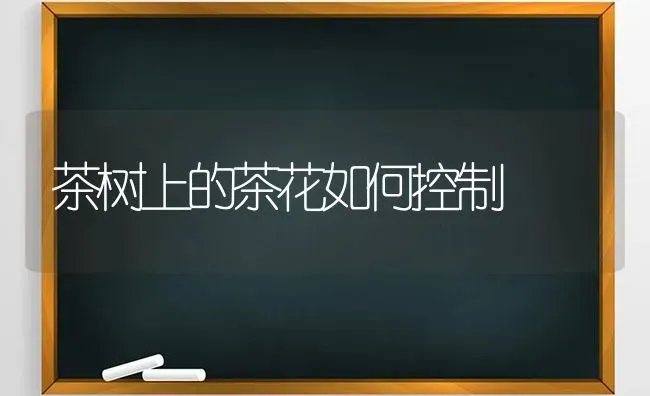 茶树上的茶花如何控制 | 养殖知识