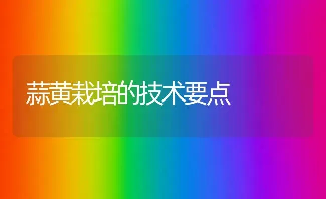 蒜黄栽培的技术要点 | 养殖知识