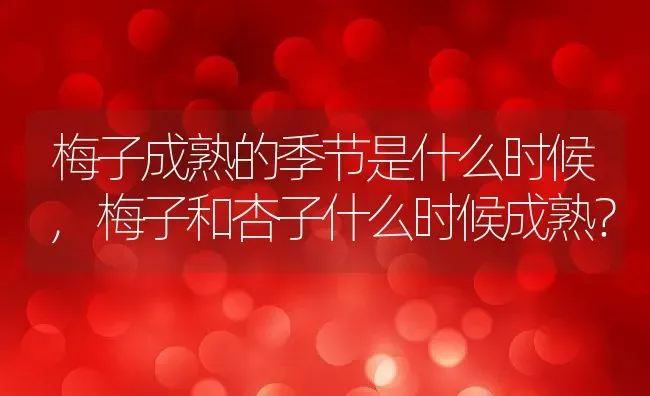梅子成熟的季节是什么时候,梅子和杏子什么时候成熟？ | 养殖科普