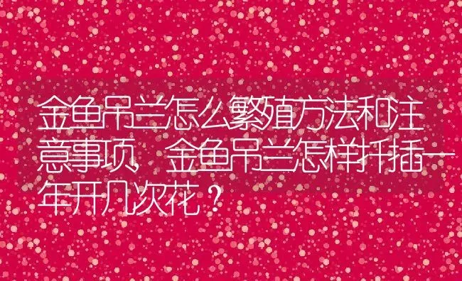 金鱼吊兰怎么繁殖方法和注意事项,金鱼吊兰怎样扦插一年开几次花？ | 养殖科普