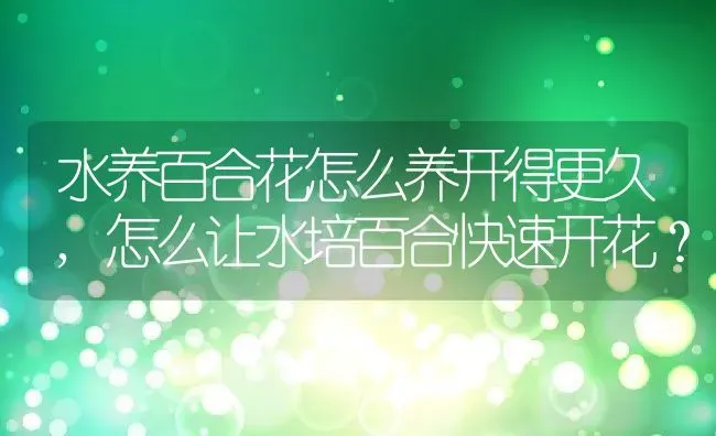 番茄枯萎病的症状、发病条件及防控方法 | 养殖学堂