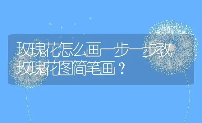 玫瑰花怎么画一步一步教,玫瑰花图简笔画？ | 养殖学堂