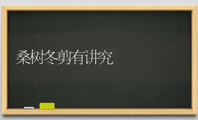 桑树冬剪有讲究 | 养殖技术大全