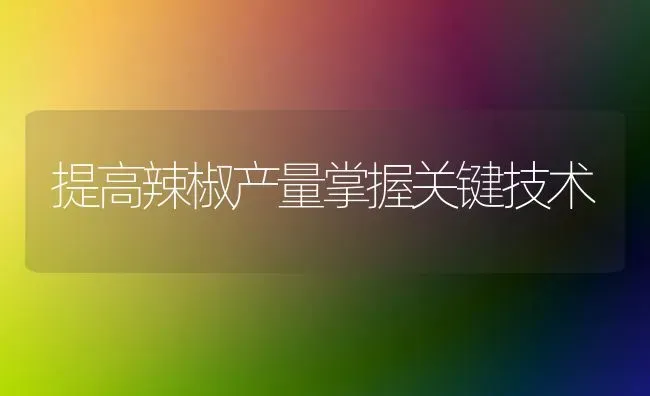 提高辣椒产量掌握关键技术 | 养殖技术大全