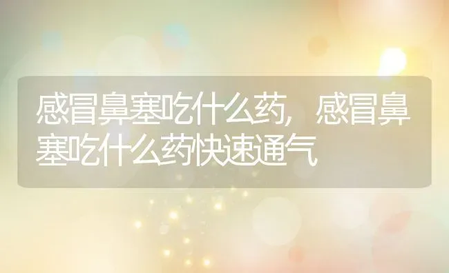 感冒鼻塞吃什么药,感冒鼻塞吃什么药快速通气 | 养殖资料