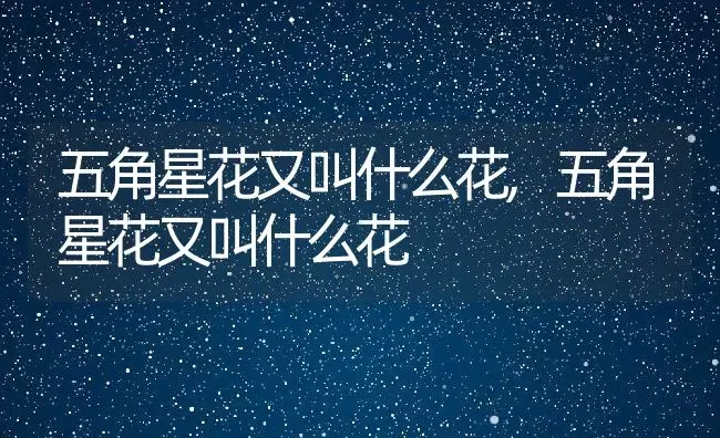 五角星花又叫什么花,五角星花又叫什么花 | 养殖科普