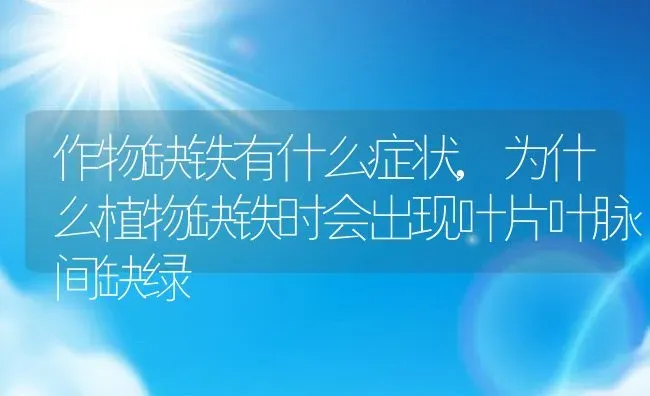 作物缺铁有什么症状,为什么植物缺铁时会出现叶片叶脉间缺绿 | 养殖学堂