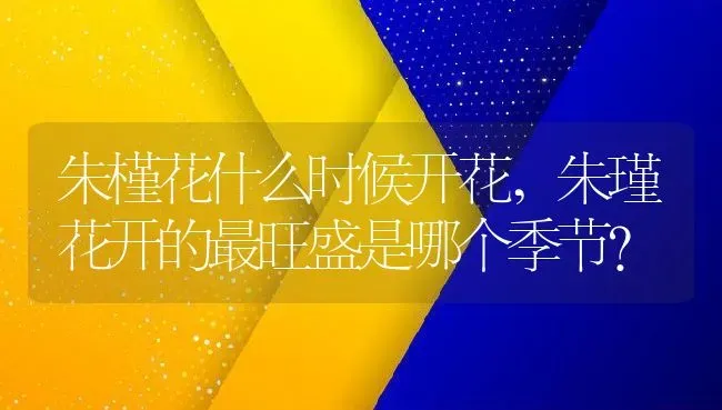 朱槿花什么时候开花,朱瑾花开的最旺盛是哪个季节？ | 养殖科普