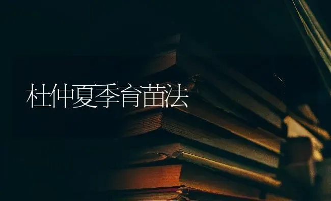 杜仲夏季育苗法 | 养殖知识