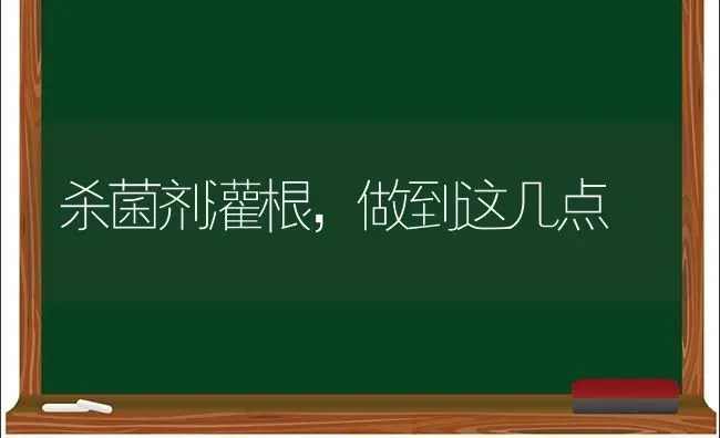 杀菌剂灌根,做到这几点 | 养殖技术大全