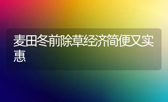 麦田冬前除草经济简便又实惠 | 养殖知识