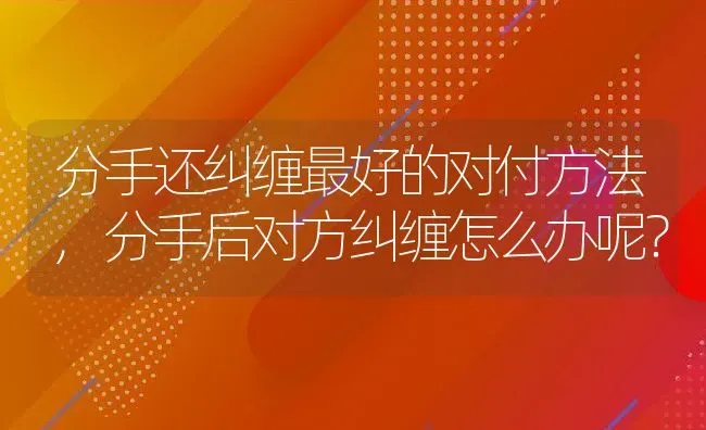 分手还纠缠最好的对付方法,分手后对方纠缠怎么办呢？ | 养殖科普