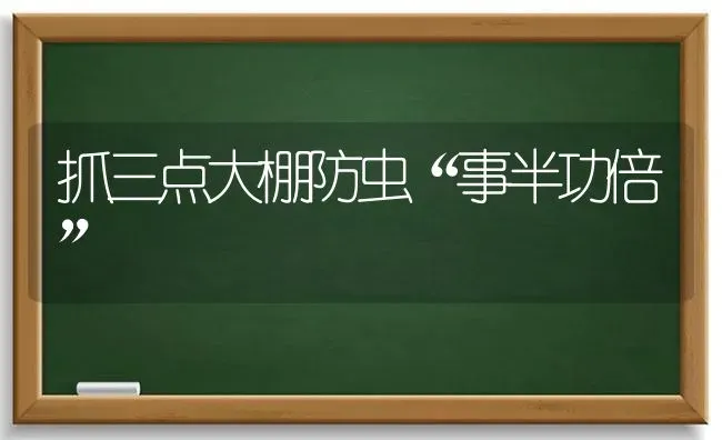 抓三点大棚防虫“事半功倍” | 养殖技术大全