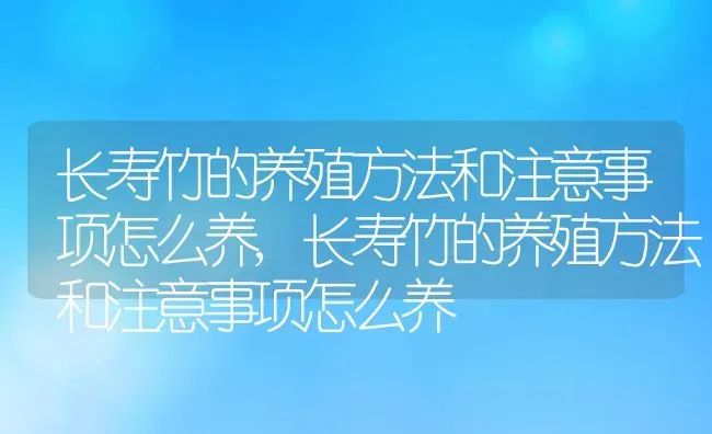 长寿竹的养殖方法和注意事项怎么养,长寿竹的养殖方法和注意事项怎么养 | 养殖科普