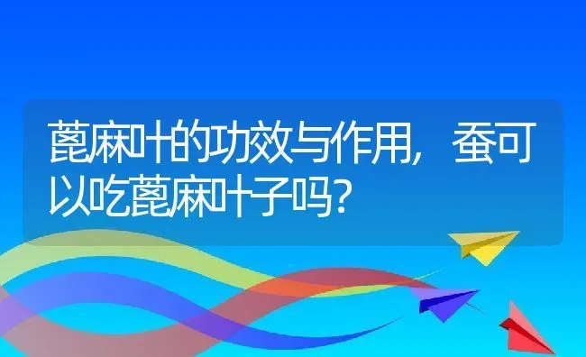 蓖麻叶的功效与作用,蚕可以吃蓖麻叶子吗？ | 养殖科普