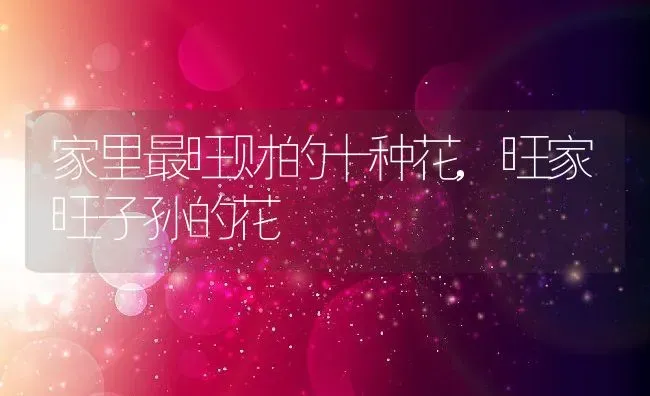 家里最旺财的十种花,旺家旺子孙的花 | 养殖学堂