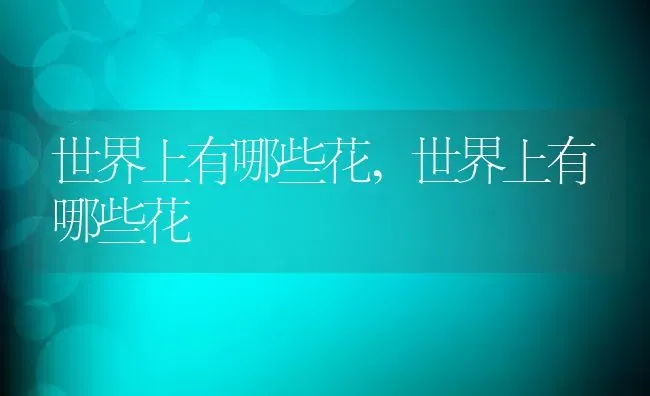 世界上有哪些花,世界上有哪些花 | 养殖科普