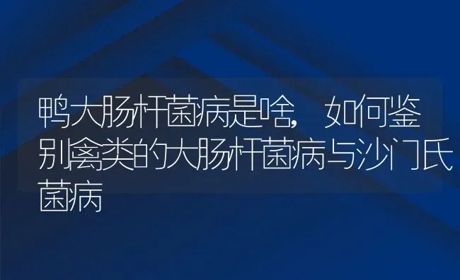 鸭大肠杆菌病是啥,如何鉴别禽类的大肠杆菌病与沙门氏菌病 | 养殖学堂