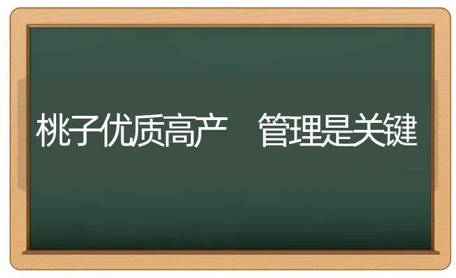 桃子优质高产 管理是关键 | 养殖技术大全