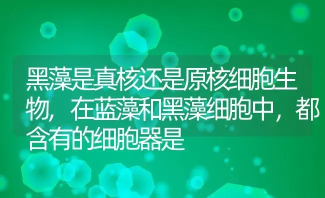 黑藻是真核还是原核细胞生物,在蓝藻和黑藻细胞中，都含有的细胞器是 | 养殖学堂