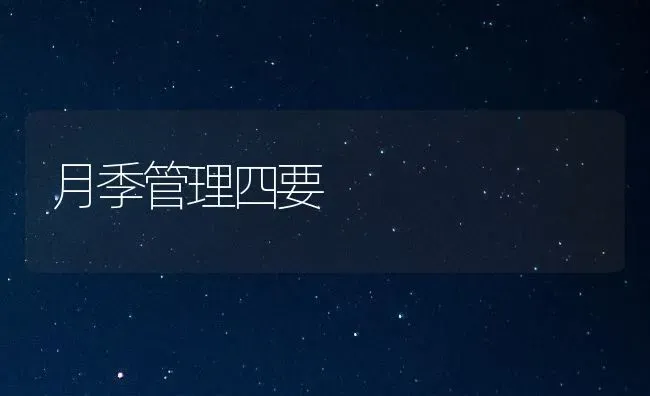 月季管理四要 | 养殖知识