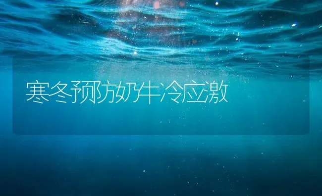 寒冬预防奶牛冷应激 | 养殖知识