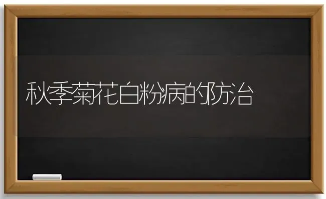 秋季菊花白粉病的防治 | 养殖知识